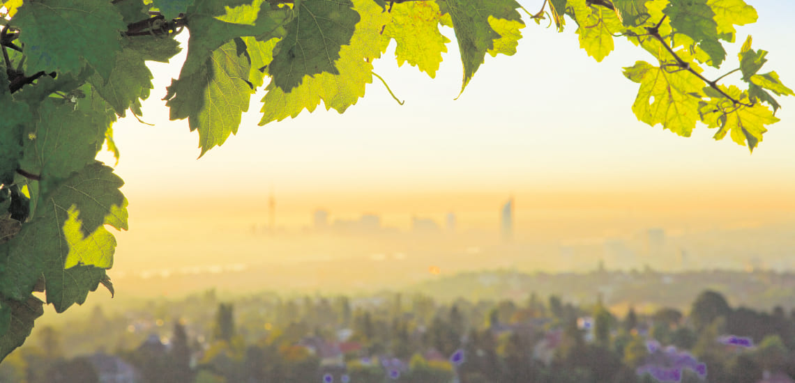 Die Natur braucht micht nicht